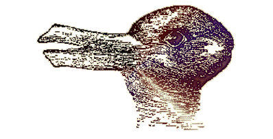 rabbit image